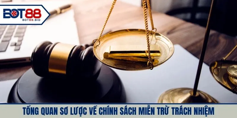 Tổng quan sơ lược về chính sách miễn trừ trách nhiệm