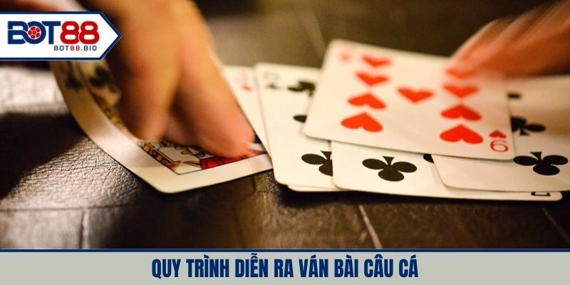 Tự tin nhập cuộc khi tìm hiểu rõ quy trình chơi bài câu cá