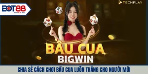 Chia sẻ cách chơi bầu cua luôn thắng cho người mới