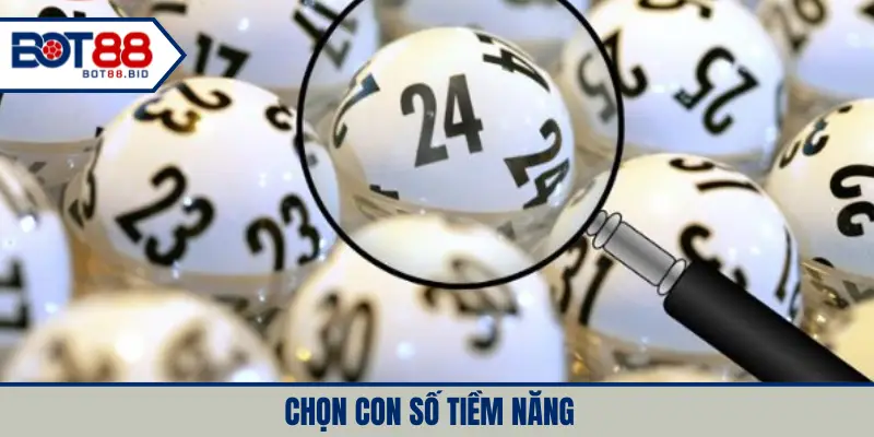 Chọn con số tiềm năng