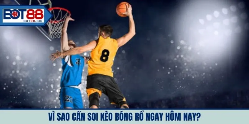 Vì sao cần soi kèo bóng rổ ngay hôm nay?
